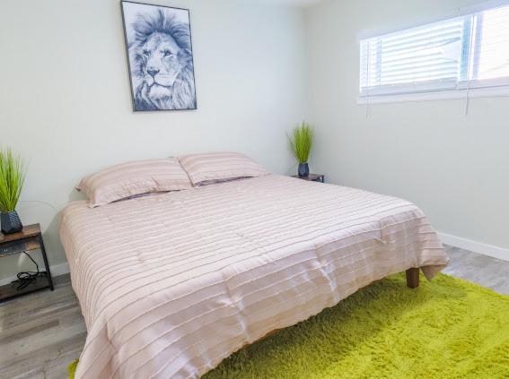 Urban Oasis Stylish Comfort In Northpark South Park Apartment *